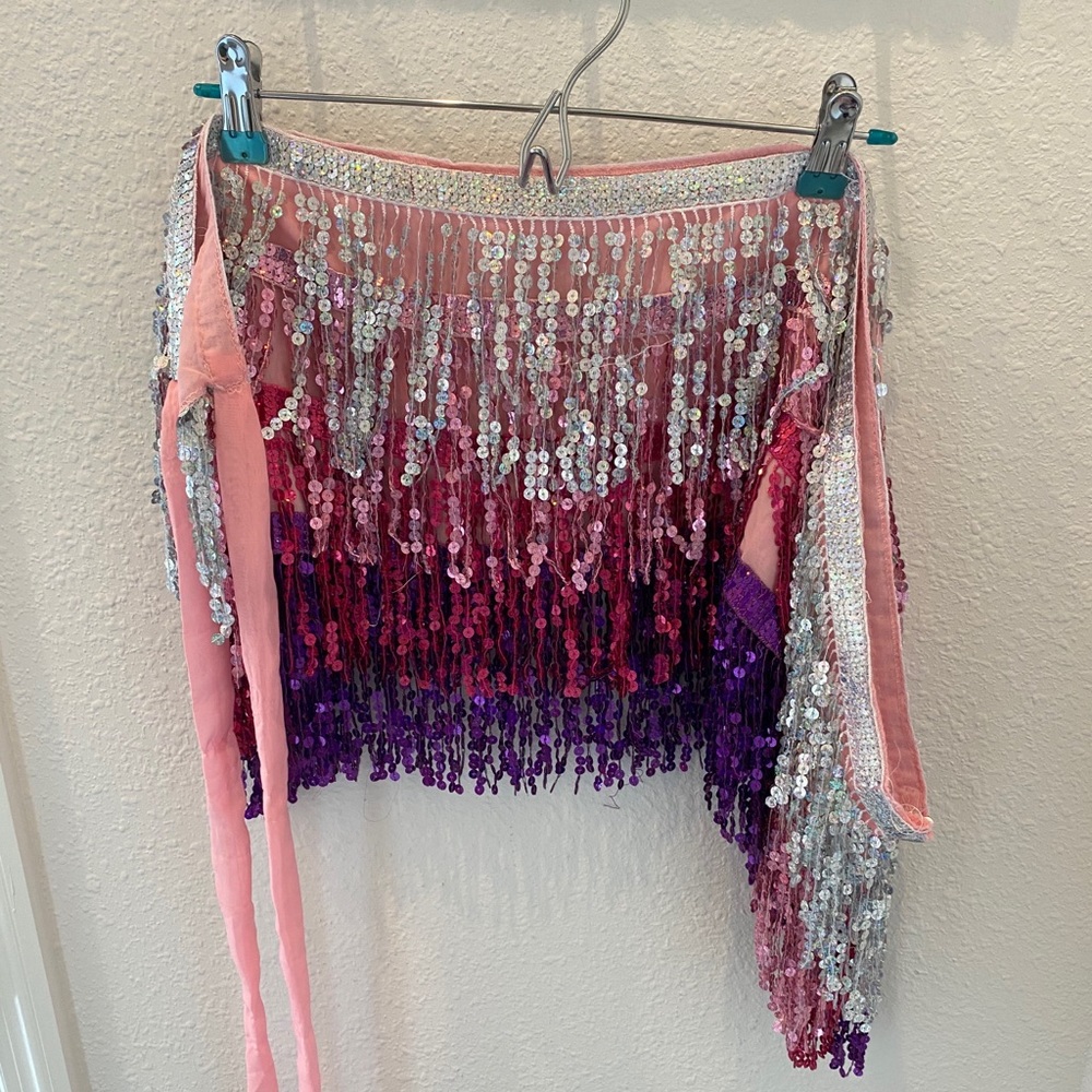 Belly Dancer Skirt or Belt Halloween costume